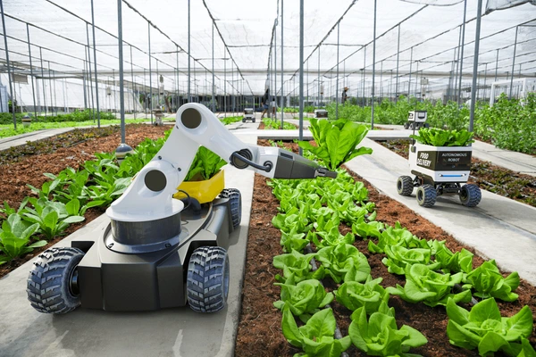 Agro Innovation